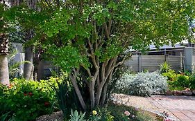 Pepper Tree Guesthouse